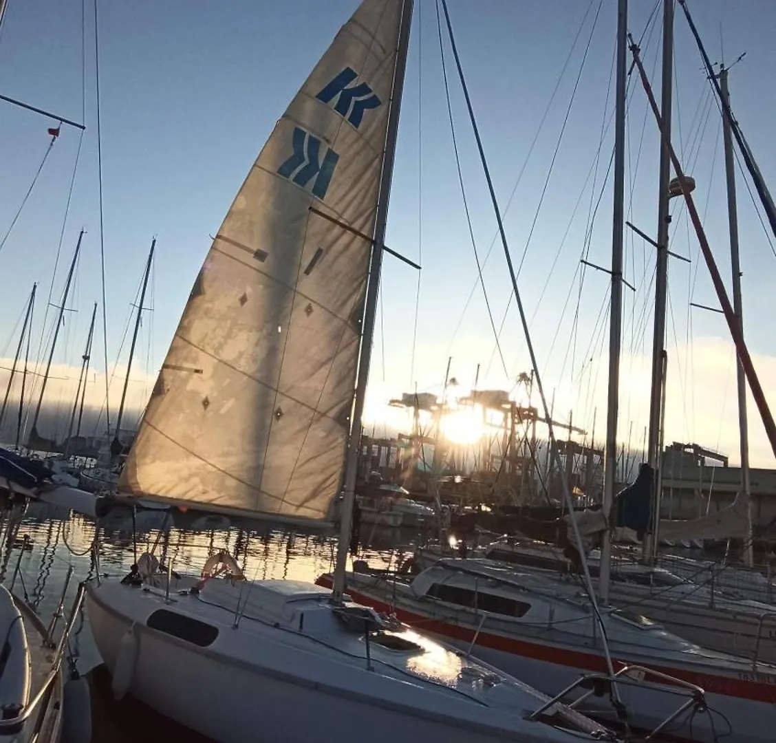 Love Boat Hostel Lisboa بوتيل